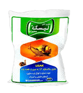 حلزون کش لیسک افتابی